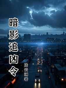 暗影追凶令 暗影追凶令